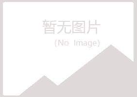 湖南夏岚采矿有限公司